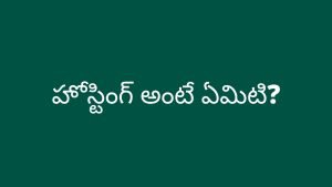 What is web hosting in Telugu? హోస్టింగ్ అంటే ఏమిటి?