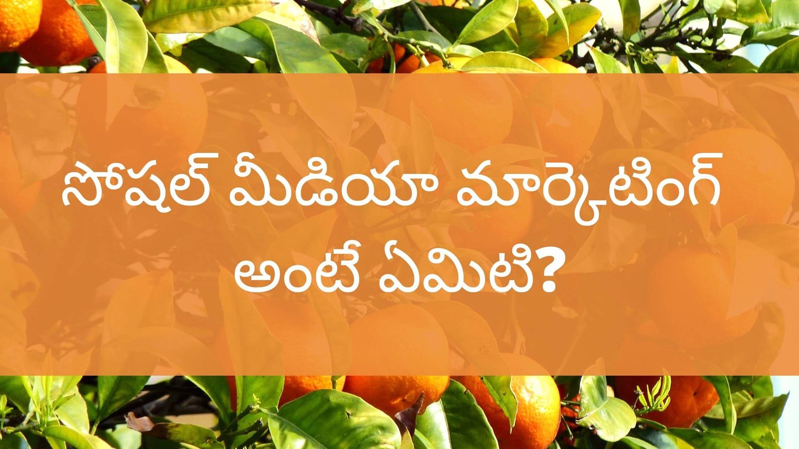 what is social media marketing in Telugu?